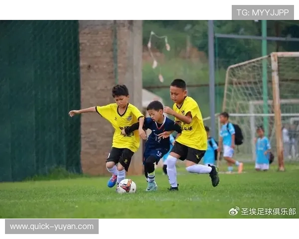 足球星冠引领绿茵风暴见证荣耀时刻点燃激情赛场梦想